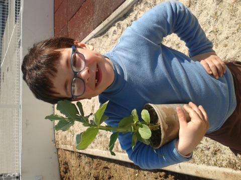 Todos os alunos trouxeram sementes ou plantas para plantar. 
Ervilhas,  favas, batatas, coentros, feijões, couves,etc
